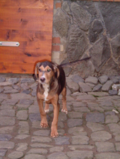 DSCF4796_170