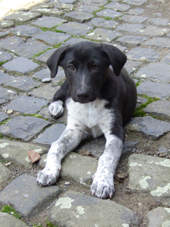 DSCF4798_170
