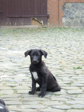 DSCF4806_170