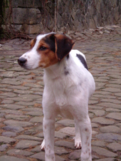 DSCF4807_170