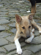 DSCF4808_170