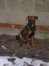 DSCF4815_170