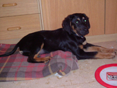 DSCF4839_170