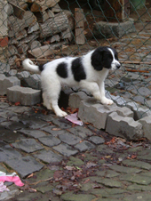 DSCF4844_170