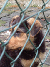 DSCF4849_170