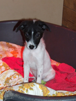 DSCF4947_301