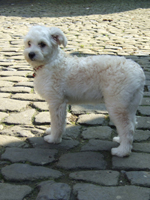 DSCF4974_301