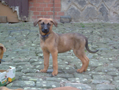 DSCF5026_170