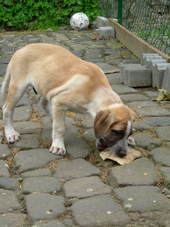 DSCF5066_170