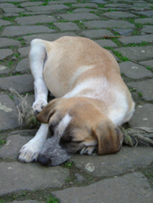 DSCF5082_170