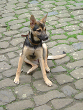 DSCF5091_170