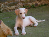 DSCF5107_170