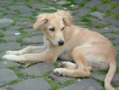DSCF5116_170