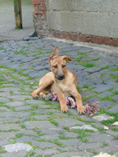 DSCF5117_170