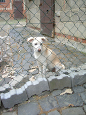 DSCF5137_170