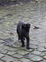 DSCF5377_301