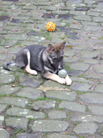 DSCF5391_301