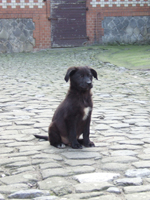 DSCF5466_301