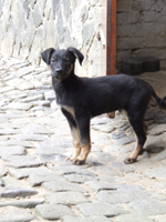 DSCF5472_301