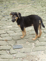DSCF5475_301