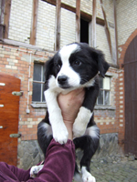 DSCF5593_301