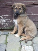 DSCF5782_301