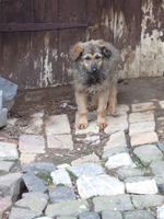 DSCF5787_301
