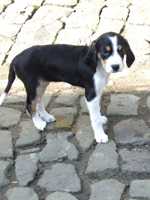 DSCF5827_301