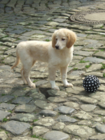 DSCF5877_301