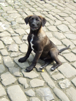 DSCF5883_301