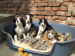 DSCF5918_601
