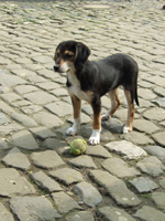 DSCF5925_301