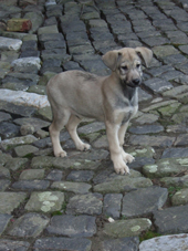 DSCF7559_170