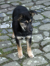 DSCF7567_170