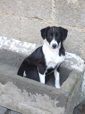 DSCF7589_170