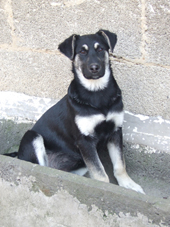 DSCF7596_170