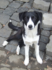 DSCF7606_170