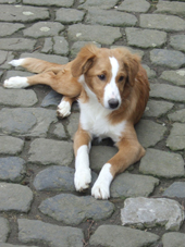 DSCF7609_170