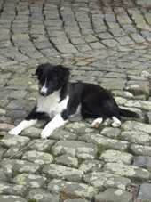 DSCF7614_170