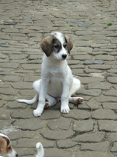 DSCF7737_170
