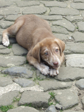 DSCF7742_170