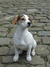 DSCF7754_170