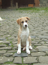 DSCF7965_170