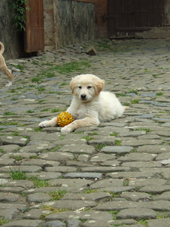 DSCF7967_170