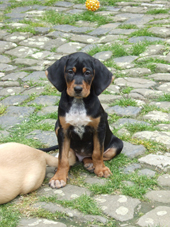 DSCF7976_170