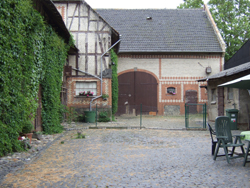 DSCF7995_250