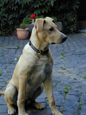 DSCN0418_170
