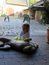 DSCN0421_170